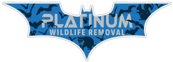 Wildlife Removal Cannon